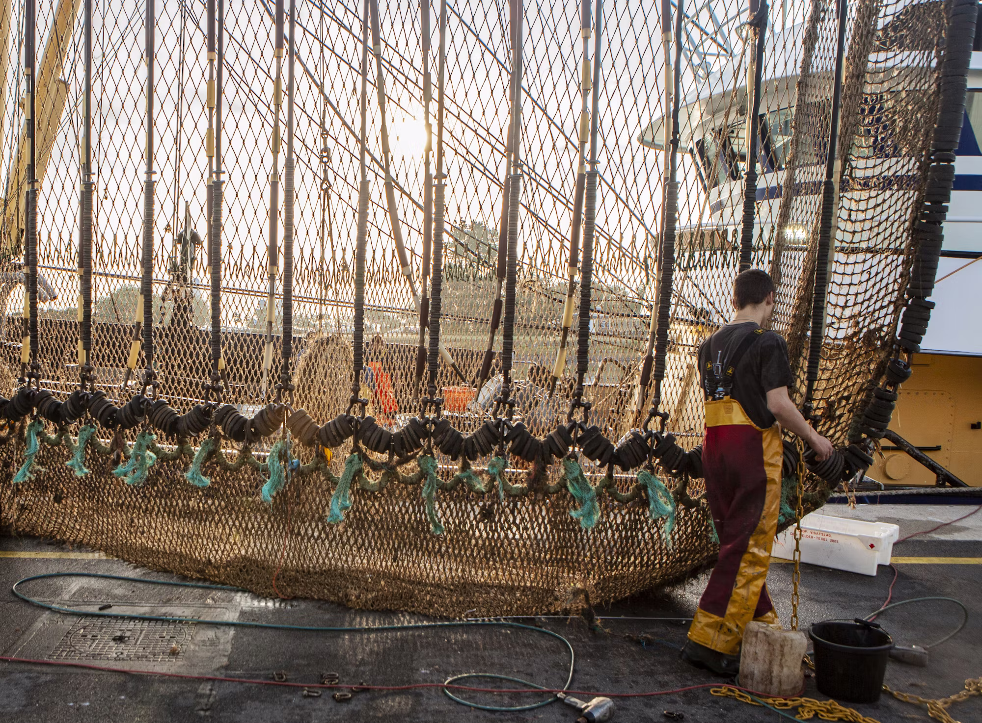 Exploring the Depths: A Comprehensive Guide to Scuba Diving